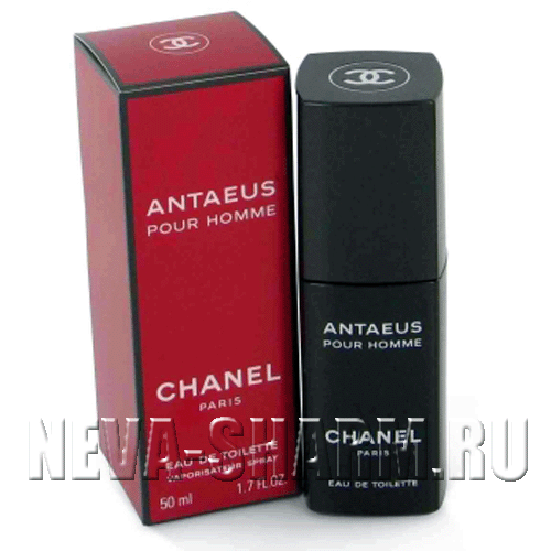 Chanel Antaeus Pour Homme от магазина Parfumerim.ru