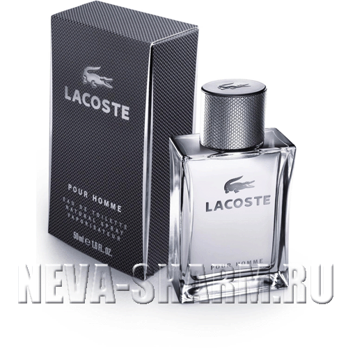 Lacoste Pour Homme от магазина Parfumerim.ru